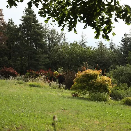 Rouvesol 4* Saint-Romain-de-Lerps